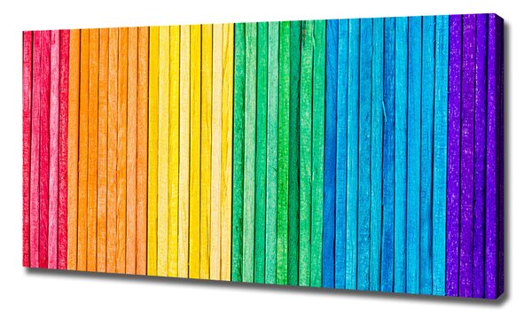 Tablou canvas dungi colorate
