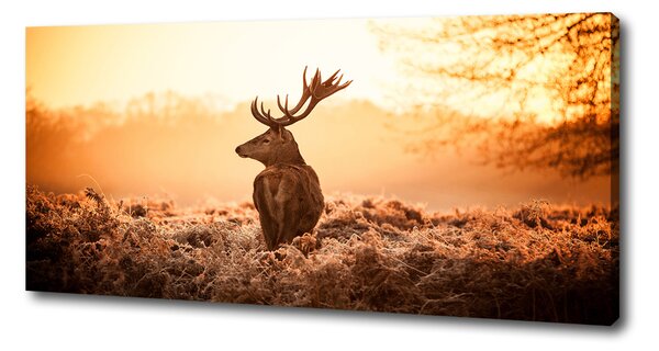 Print pe pânză Sunrise Deer
