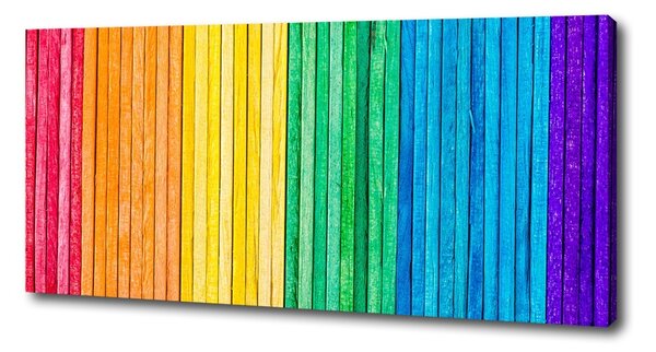 Tablou canvas dungi colorate
