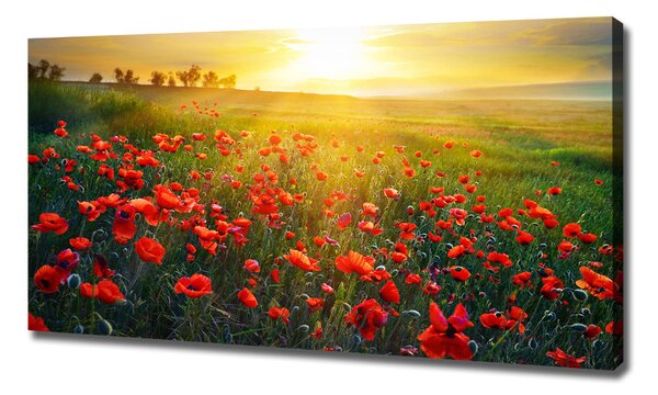 Imprimare tablou canvas câmp de maci