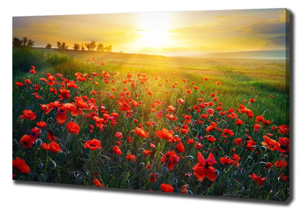 Imprimare tablou canvas câmp de maci