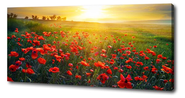 Imprimare tablou canvas câmp de maci