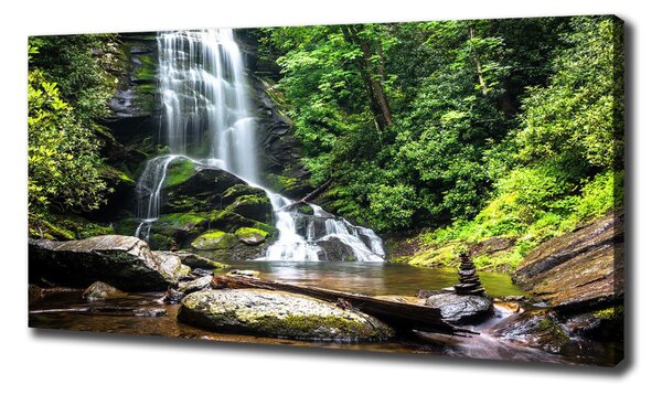 Pictură pe pânză Cascada din pădure