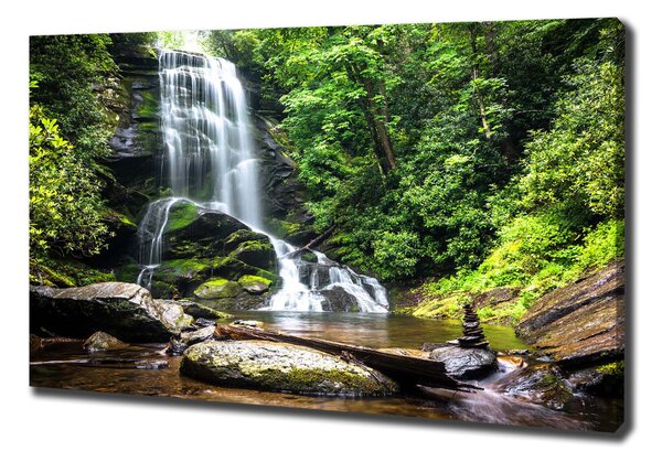 Pictură pe pânză Cascada din pădure