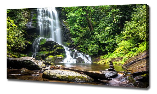 Pictură pe pânză Cascada din pădure