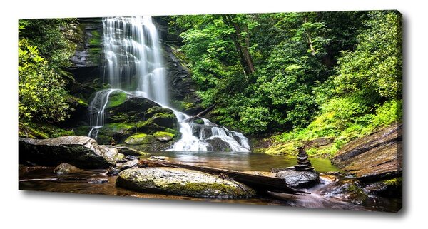 Pictură pe pânză Cascada din pădure