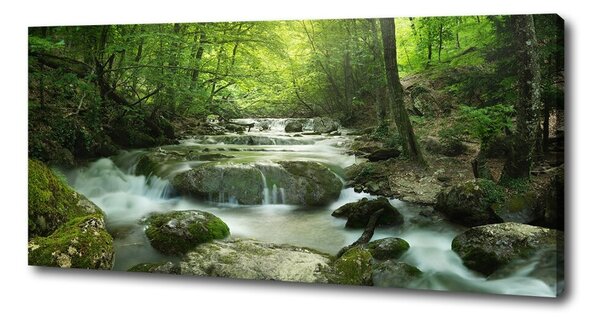 Tablou pe pânză Cascada din pădure