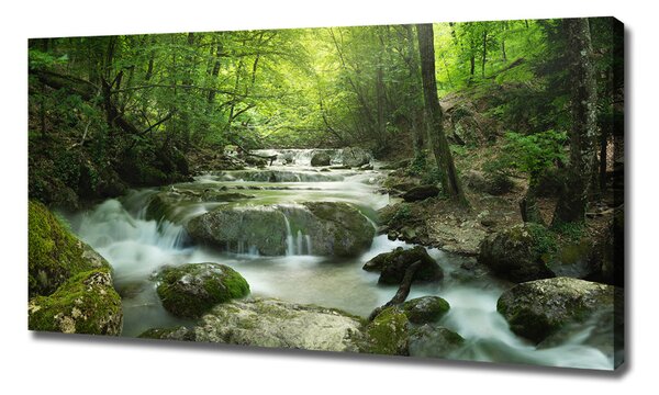 Tablou pe pânză Cascada din pădure