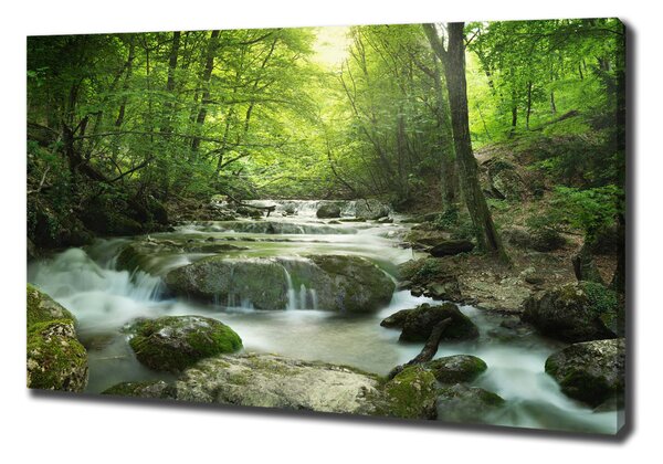 Tablou pe pânză Cascada din pădure