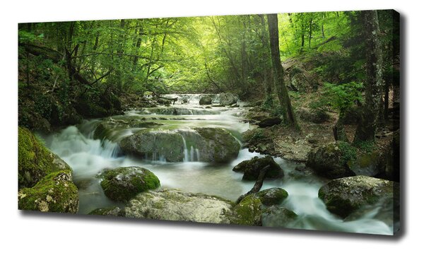Tablou pe pânză Cascada din pădure