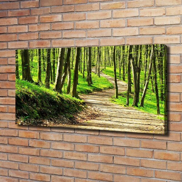 Print pe canvas Calea în pădure