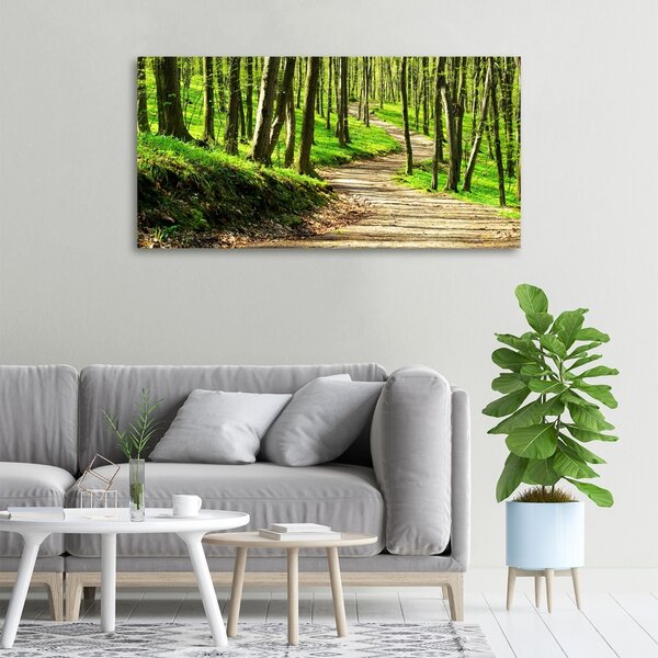 Print pe canvas Calea în pădure