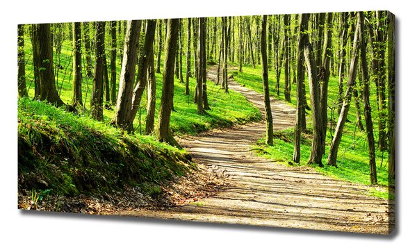 Print pe canvas Calea în pădure