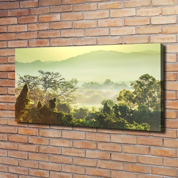 Imprimare tablou canvas Junglă