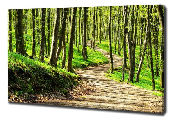 Print pe canvas Calea în pădure