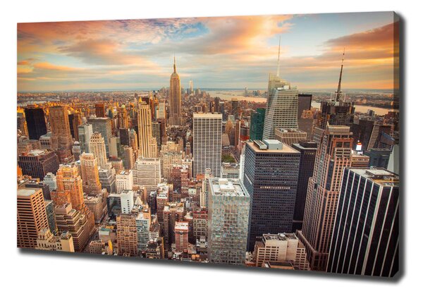 Print pe canvas New York pasăre de zbor