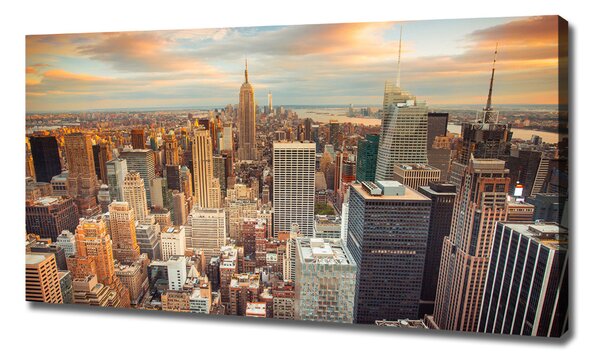 Print pe canvas New York pasăre de zbor