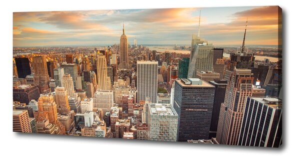Print pe canvas New York pasăre de zbor
