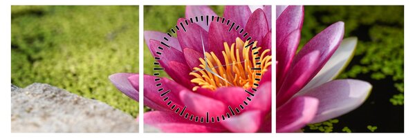 Tablou - Lotus (cu ceas) (90x30 cm)