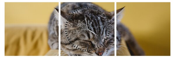 Tablou cu pisica pe fotoliu (cu ceas) (90x30 cm)