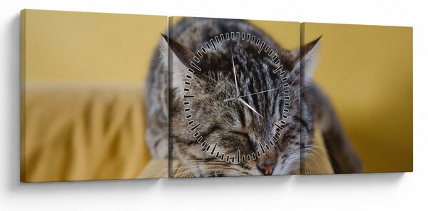 Tablou cu pisica pe fotoliu (cu ceas) (90x30 cm)