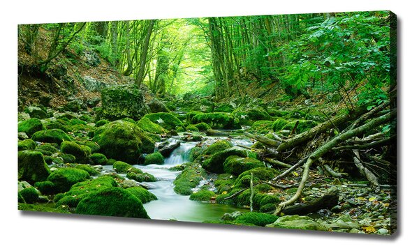 Imprimare tablou canvas Stream în pădure