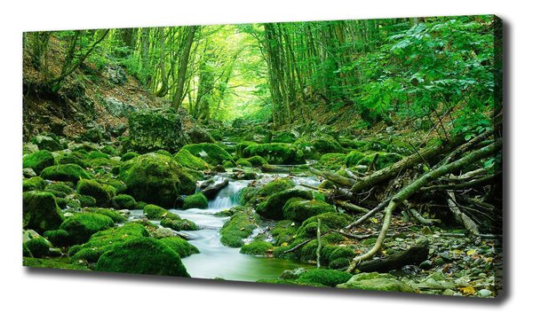 Imprimare tablou canvas Stream în pădure