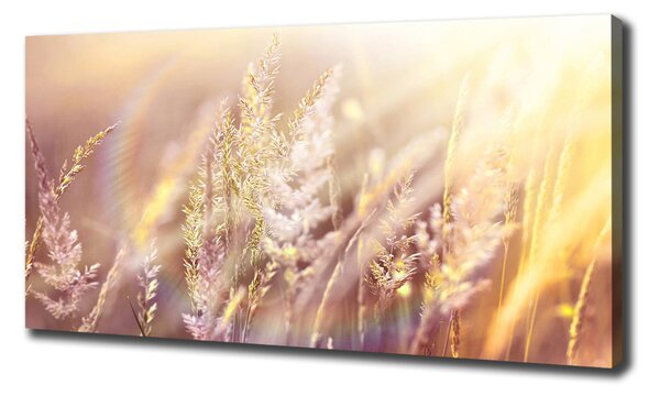 Print pe canvas Iarba inalta