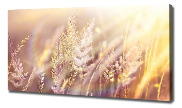 Print pe canvas Iarba inalta