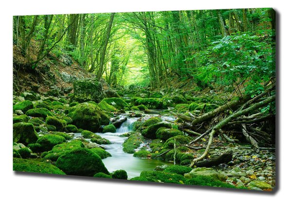 Imprimare tablou canvas Stream în pădure