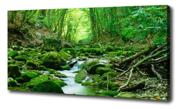 Imprimare tablou canvas Stream în pădure