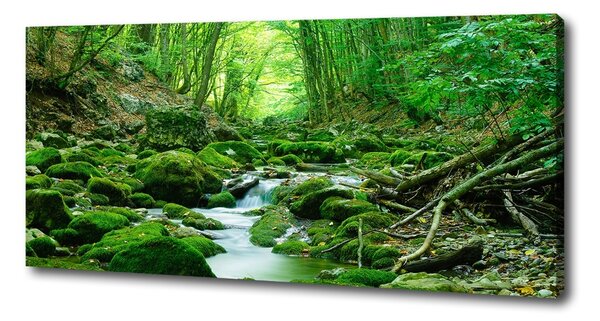 Imprimare tablou canvas Stream în pădure