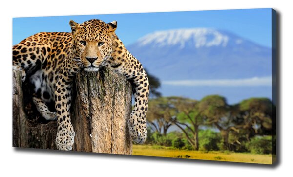 Imprimare tablou canvas Leopard pe un ciot de copac