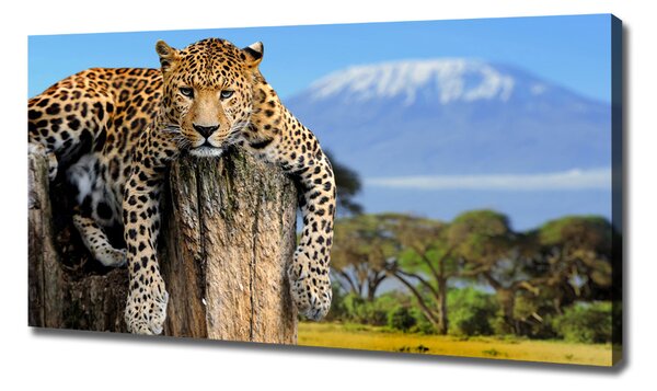Imprimare tablou canvas Leopard pe un ciot de copac