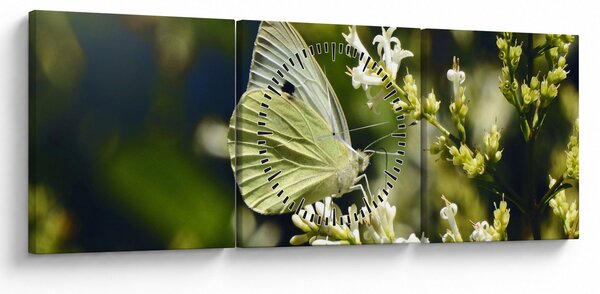 Tablou cu fluture (cu ceas) (90x30 cm)