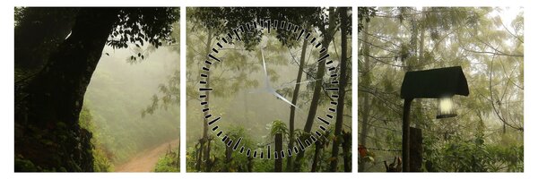 Tablou cu ceața de dimineața (cu ceas) (90x30 cm)