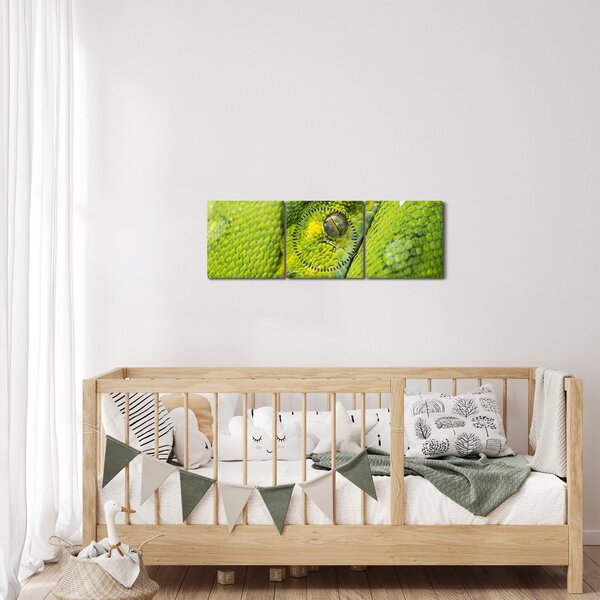 Tablou cu șarpe (cu ceas) (90x30 cm)