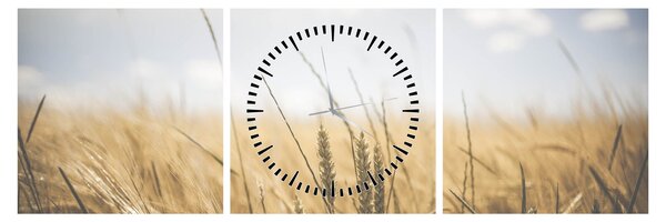 Tablou cu grâne (cu ceas) (90x30 cm)