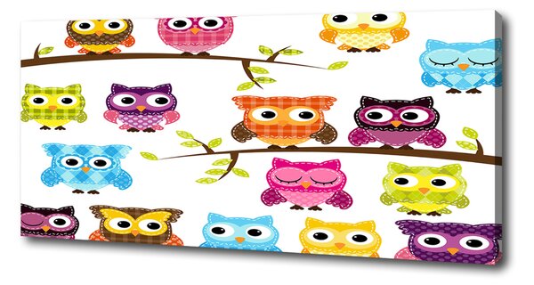 Tablou canvas bufnițe colorate