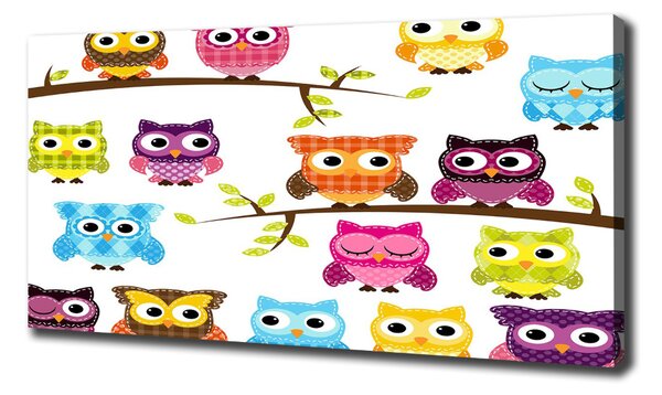 Tablou canvas bufnițe colorate