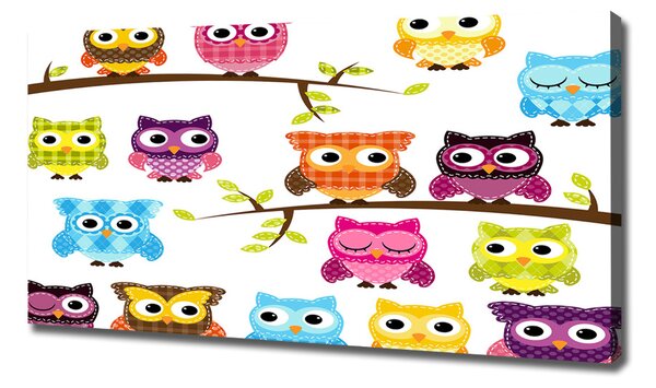 Tablou canvas bufnițe colorate