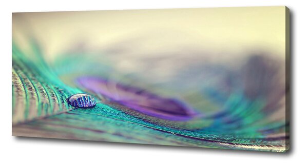 Print pe canvas Arunca piórku