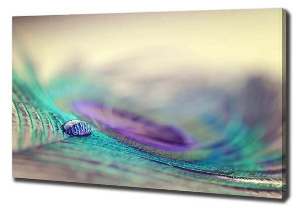 Print pe canvas Arunca piórku