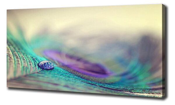 Print pe canvas Arunca piórku