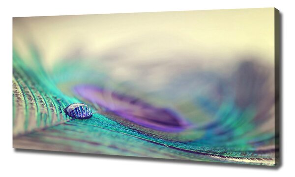 Print pe canvas Arunca piórku