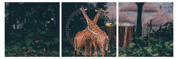 Tablou cu două girafe (cu ceas) (90x30 cm)