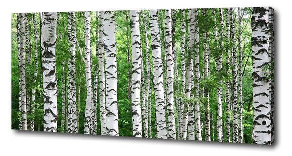 Tablou pe pânză canvas mesteceni