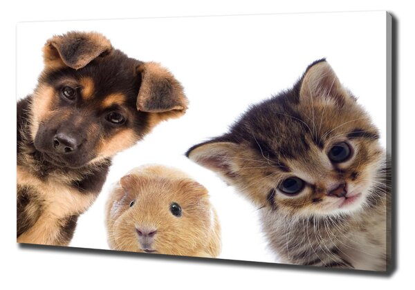 Print pe pânză Animale de companie