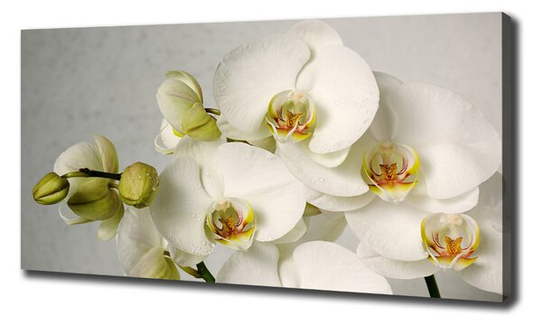 Print pe canvas alb orhidee