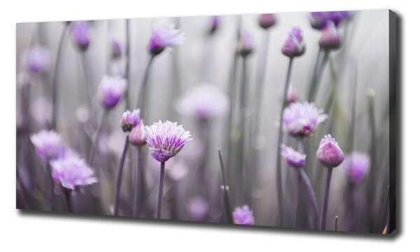 Tablou canvas flori arpagic